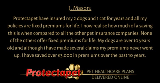 Protectapet Client Testimonials